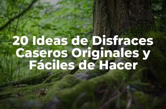 20 Ideas de Disfraces Caseros Originales y Fáciles de Hacer