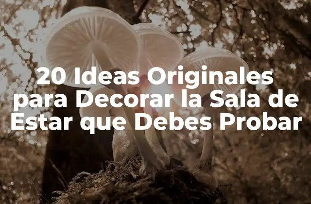 20 Ideas Originales para Decorar la Sala de Estar que Debes Probar