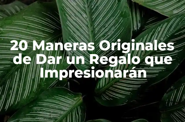 20 Maneras Originales de Dar un Regalo que Impresionarán