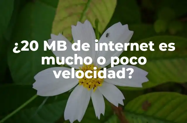 ¿20 Mb de Internet es Mucho o Poco Velocidad?