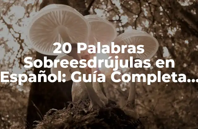 20 Palabras Sobreesdrújulas en Español: Guía Completa y Detallada