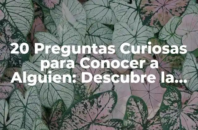 20 Preguntas Curiosas para Conocer a Alguien: Descubre la Personalidad Oculta
