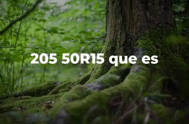 Cómo interpretar las medidas de un neumático