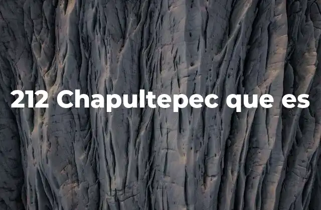 212 Chapultepec que es