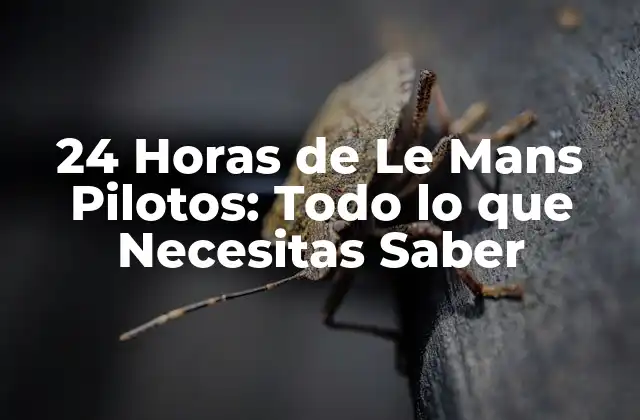 24 Horas de Le Mans Pilotos: Todo Lo que Necesitas Saber