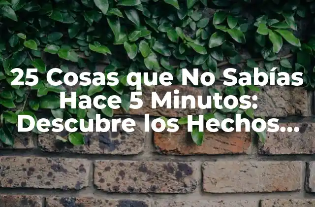 25 Cosas que No Sabías Hace 5 Minutos: Descubre los Hechos Sorprendentes