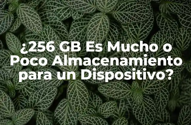 ¿256 Gb es Mucho o Poco Almacenamiento para un Dispositivo?