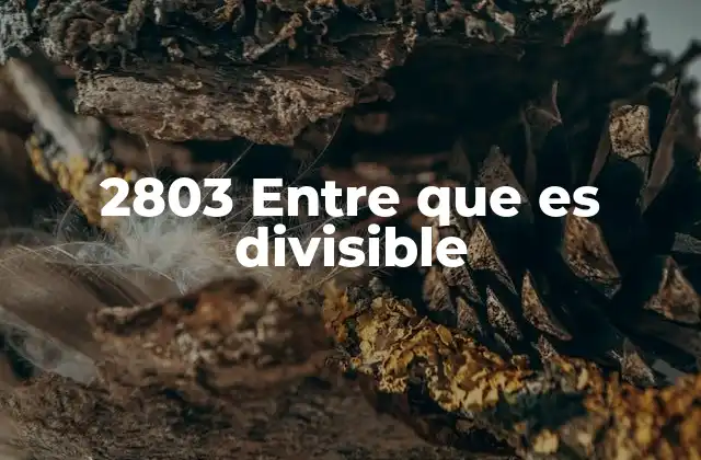 2803 entre que es Divisible