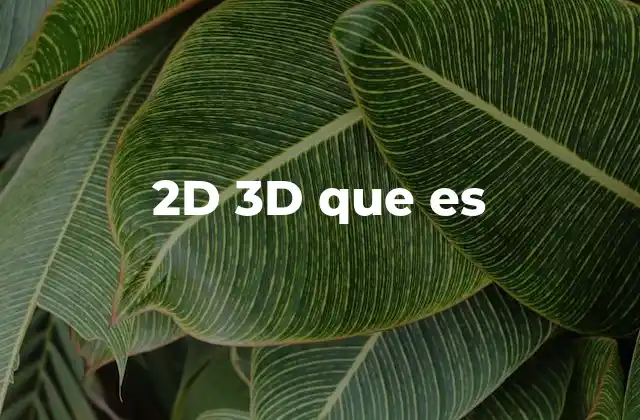 2d 3d que es