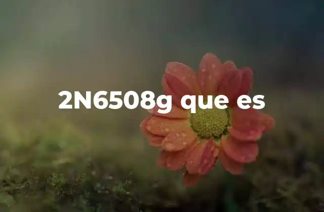 2n6508g que es