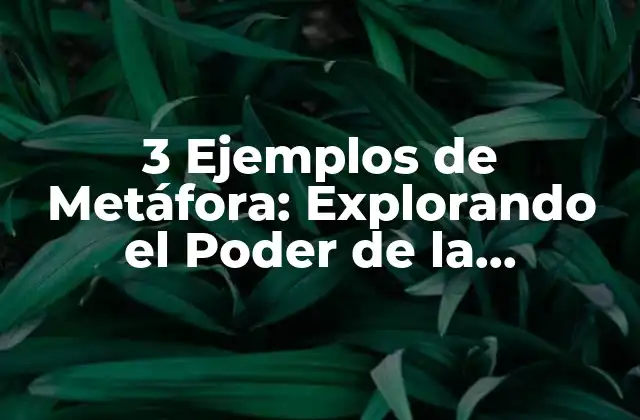 3 Ejemplos de Metáfora: Explorando el Poder de la Figuración Literaria