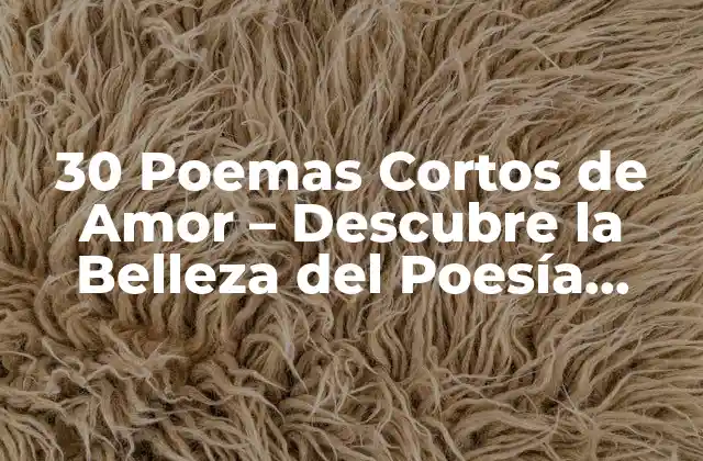 30 Poemas Cortos de Amor – Descubre la Belleza Del Poesía Romántica