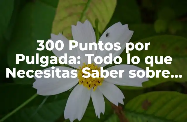 300 Puntos por Pulgada: Todo Lo que Necesitas Saber sobre Esta Tendencia en Diseño Gráfico