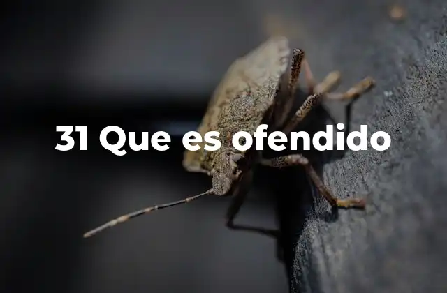 31 que es Ofendido