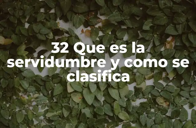 32 que es la Servidumbre y como Se Clasifica