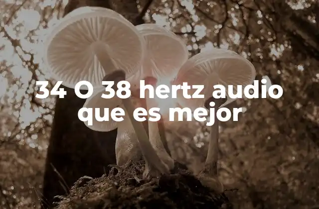 34 o 38 Hertz Audio que es Mejor