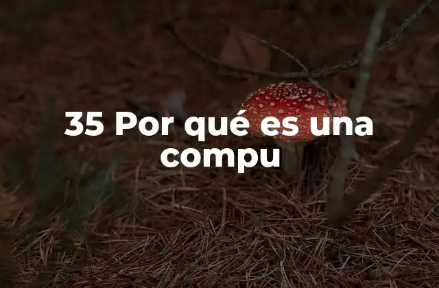 35 por Qué es una Compu