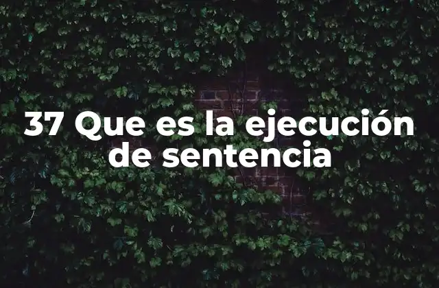37 que es la Ejecución de Sentencia