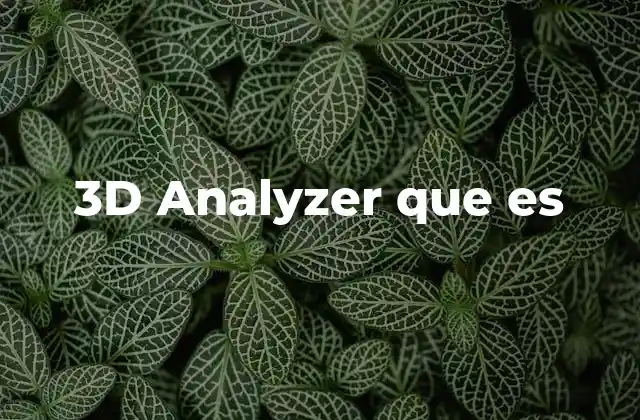 3d Analyzer que es