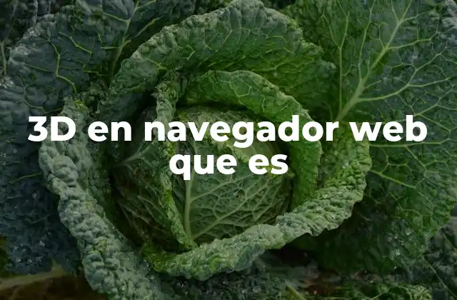 3d en Navegador Web que es