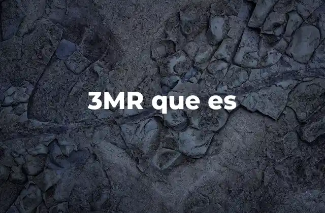3mr que es 2 La importancia de entender qué significa 3MR