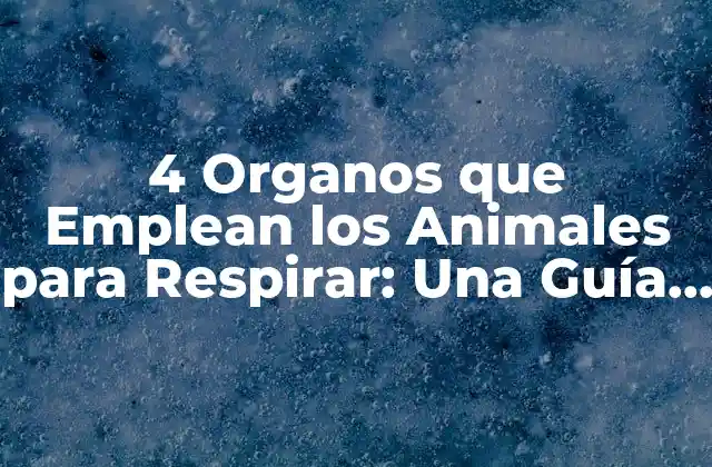 4 Organos que Emplean los Animales para Respirar: una Guía Completa