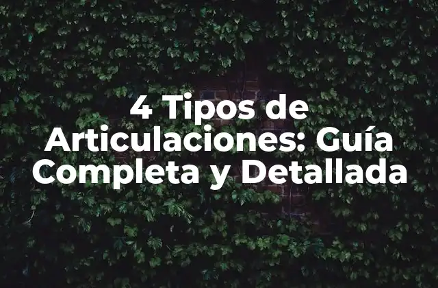 4 Tipos de Articulaciones: Guía Completa y Detallada