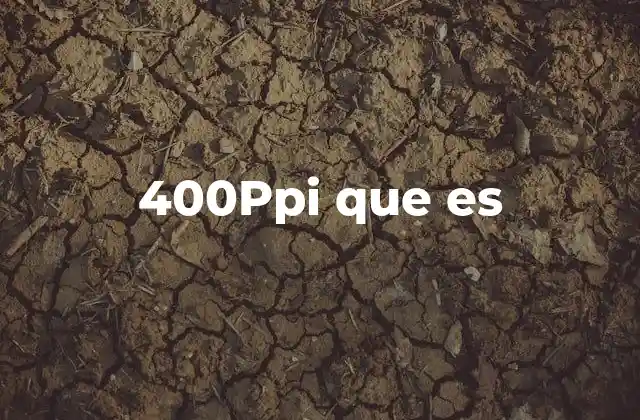 400ppi que es