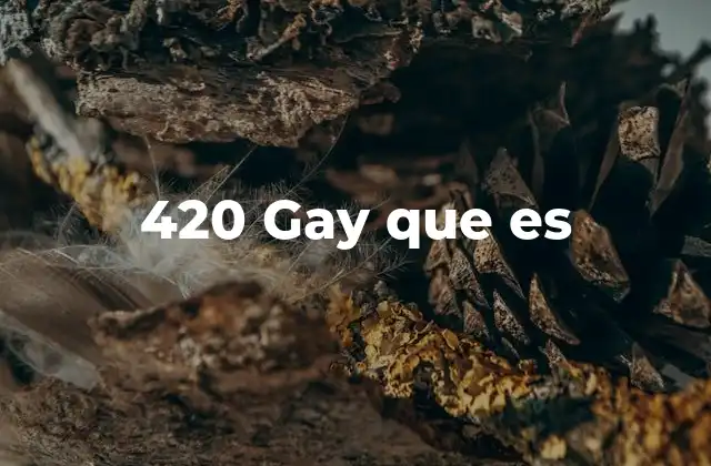 420 Gay que es