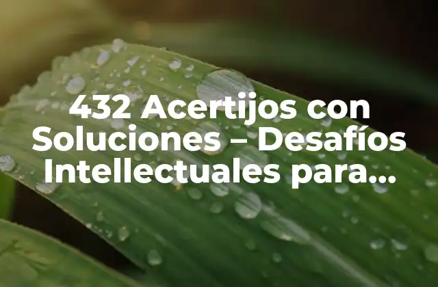 432 Acertijos con Soluciones – Desafíos Intellectuales para Entretener y Aprender