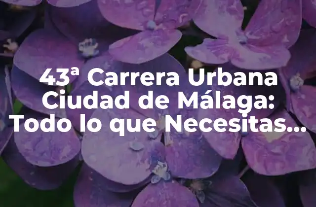 43ª Carrera Urbana Ciudad de Málaga: Todo Lo que Necesitas Saber