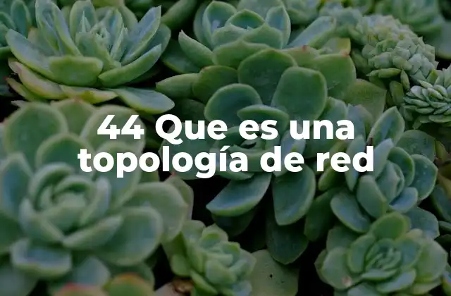44 que es una Topología de Red