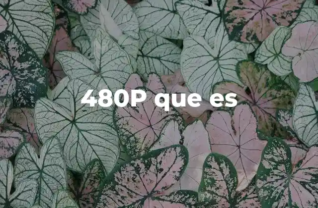 480p que es