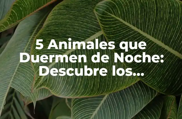 5 Animales que Duermen de Noche: Descubre los Sorprendentes Hábitos de Sueño de la Naturaleza