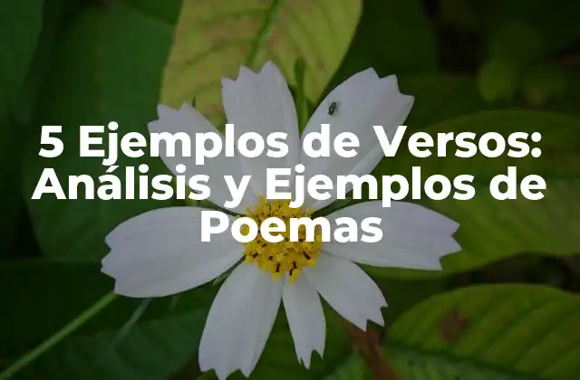 5 Ejemplos de Versos: Análisis y Ejemplos de Poemas