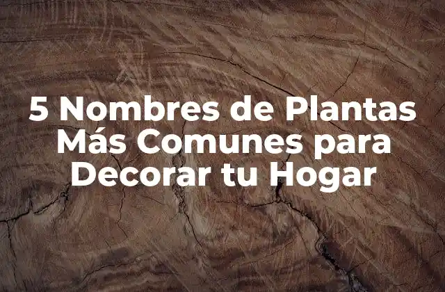 5 Nombres de Plantas Más Comunes para Decorar Tu Hogar