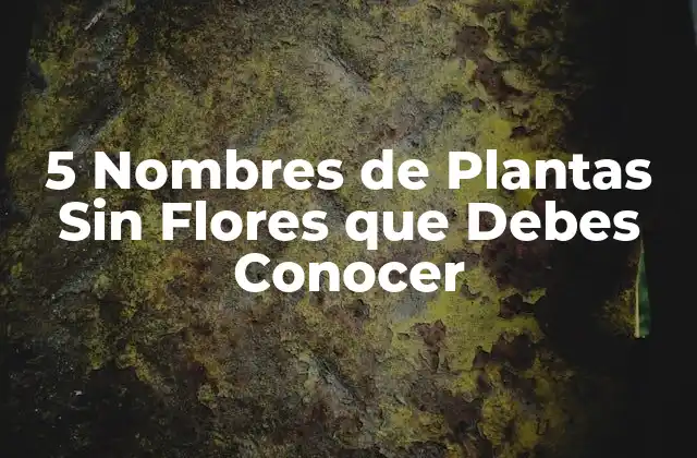 5 Nombres de Plantas sin Flores que Debes Conocer