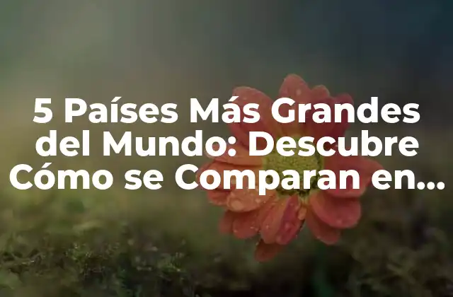 5 Países Más Grandes Del Mundo: Descubre Cómo Se Comparan en Términos de Superficie