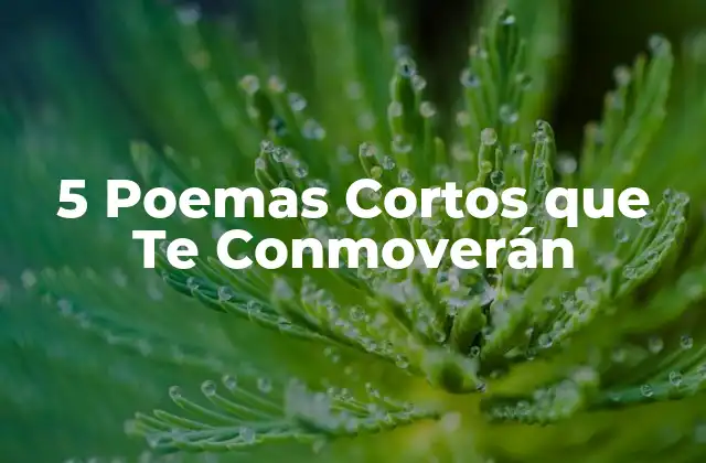 5 Poemas Cortos que Te Conmoverán