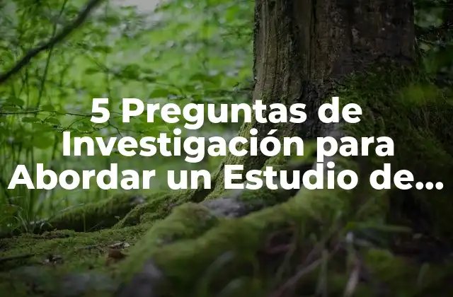 5 Preguntas de Investigación para Abordar un Estudio de Caso