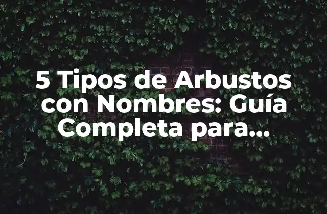 5 Tipos de Arbustos con Nombres: Guía Completa para Jardineros 2 ¿Qué son los Arbustos con Nombres?