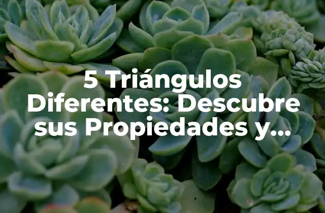 5 Triángulos Diferentes: Descubre Sus Propiedades y Utilidades