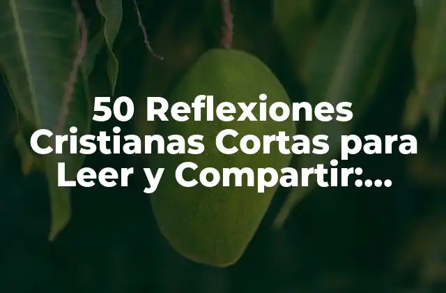 50 Reflexiones Cristianas Cortas para Leer y Compartir: Inspiración y Esperanza para el Día a Día