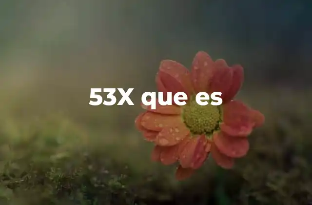 53x que es