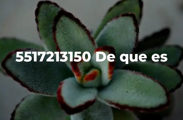 5517213150 de que es