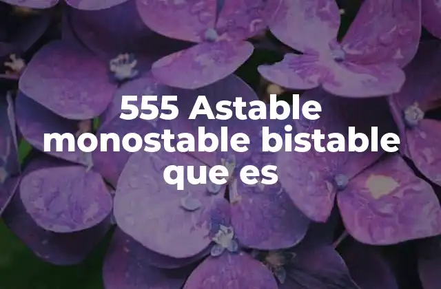 555 Astable Monostable Bistable que es