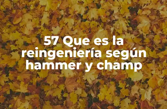 57 que es la Reingeniería según Hammer y Champ