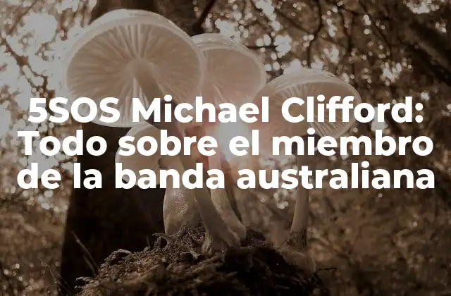 5sos Michael Clifford: Todo sobre el Miembro de la Banda Australiana