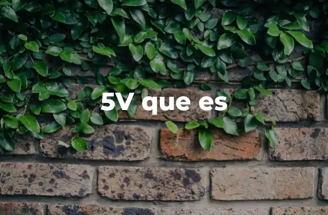 5v que es