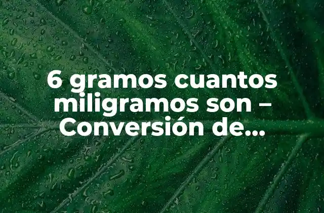6 Gramos Cuantos Miligramos Son – Conversión de Unidades